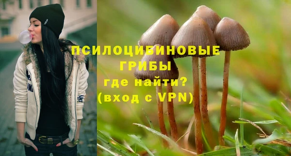 прущая мука Бугульма