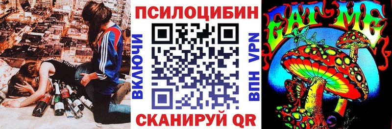 где можно купить наркотик  Малоярославец  Галлюциногенные грибы Psilocybe 