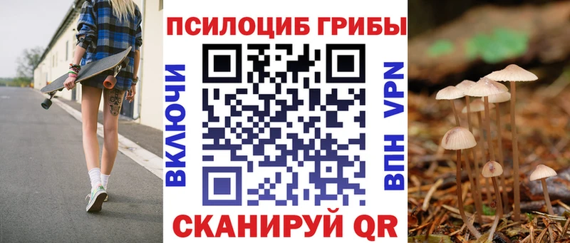 Псилоцибиновые грибы Cubensis Малоярославец